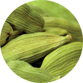 Cardamom