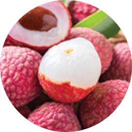 Litchi