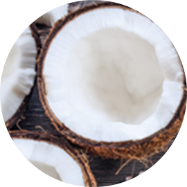 Coconut