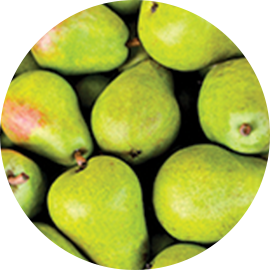 Pear