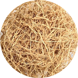 Vetiver